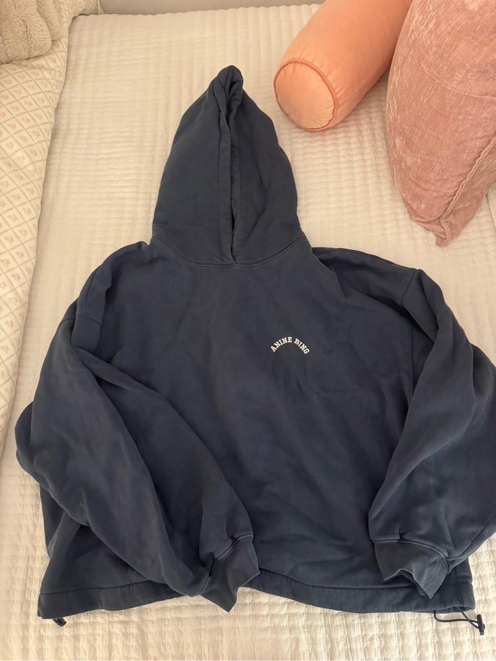 Vintage Anine Bing sweatshirt